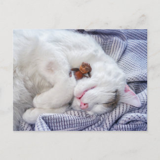 Acorn elf med katten vykort