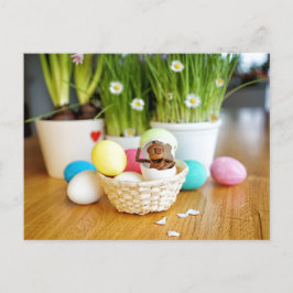 Acorn Elf med Påskägg Påsk vykort