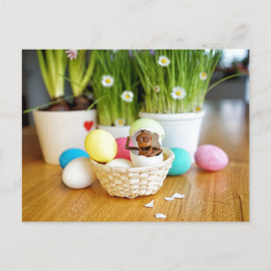 Acorn Elf med Påskägg Påsk vykort