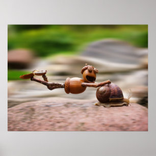 Acorn Elf rider på snigel poster