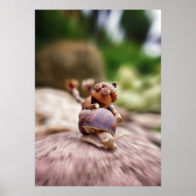 Acorn Elf rider på snigel poster (Framsidan)