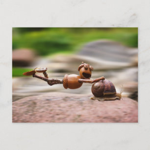 Acorn Elf rider på snigel Vykort