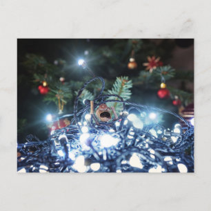 Acorn-elf som är snurrig i julklapp ljus - jul vykort