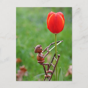 Acorn elf som tulip gardener vår vykort