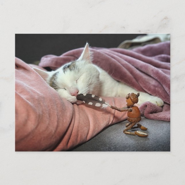 Acorn elf teasing cat vykort (Framsida)