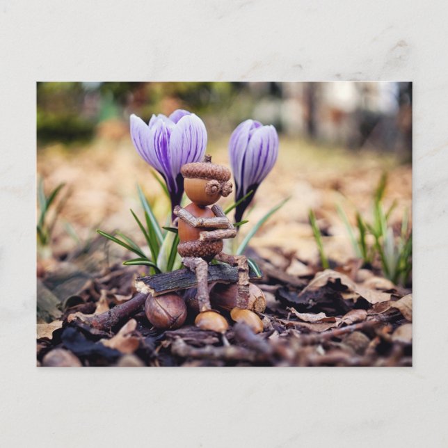 Acorn Elf väntar på vykortet vår Vykort (Framsida)