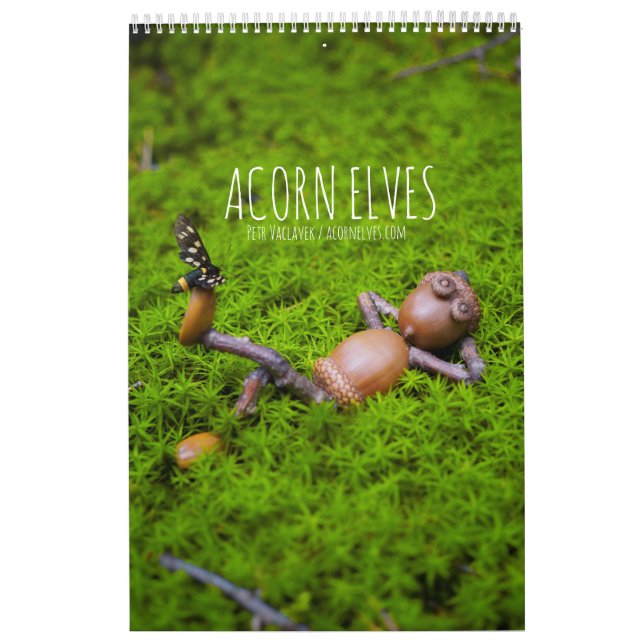 Acorn Elves/Dubanci-fotokalender Kalender (Omslag)