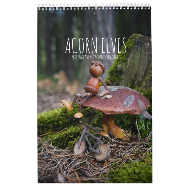 Acorn Elves/Dubanci-fotokalender Kalender (Omslag)
