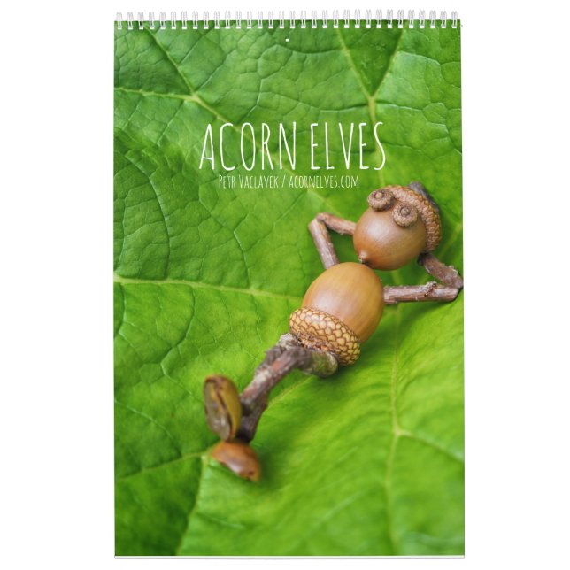 Acorn Elves/Dubanci-fotokalender Kalender (Omslag)