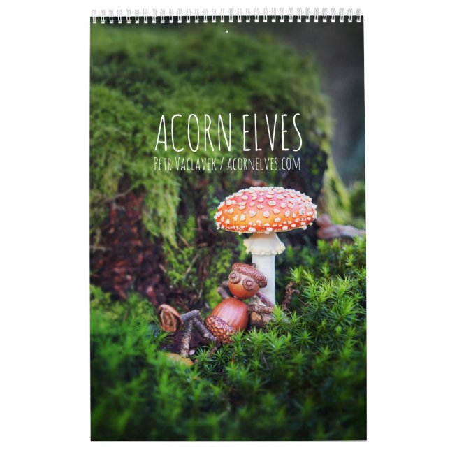 Acorn Elves/Dubanci-fotokalender Kalender (Omslag)