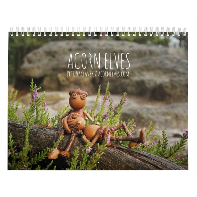 Acorn Elves/Dubanci-fotokalender Kalender (Omslag)