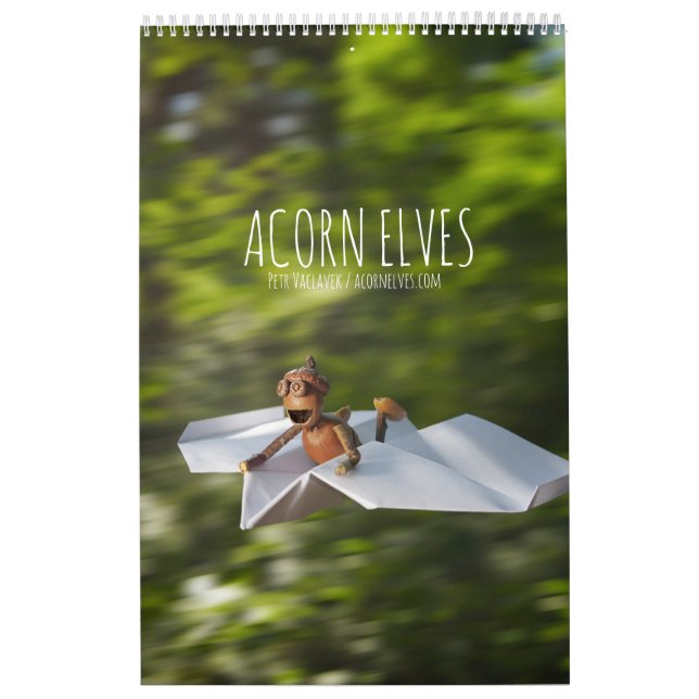 Acorn Elves/Dubanci-fotokalender Kalender (Omslag)