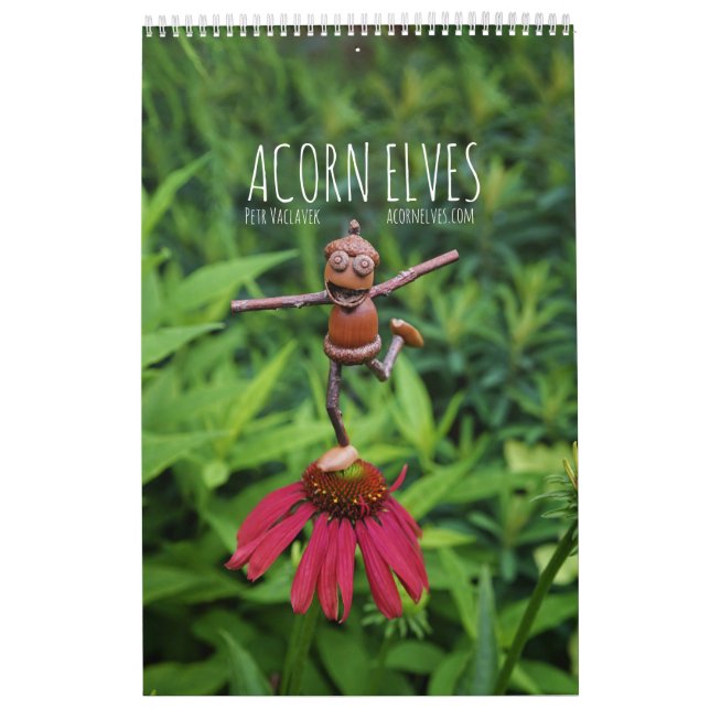 Acorn Elves/Dubanci-fotokalender Kalender (Omslag)