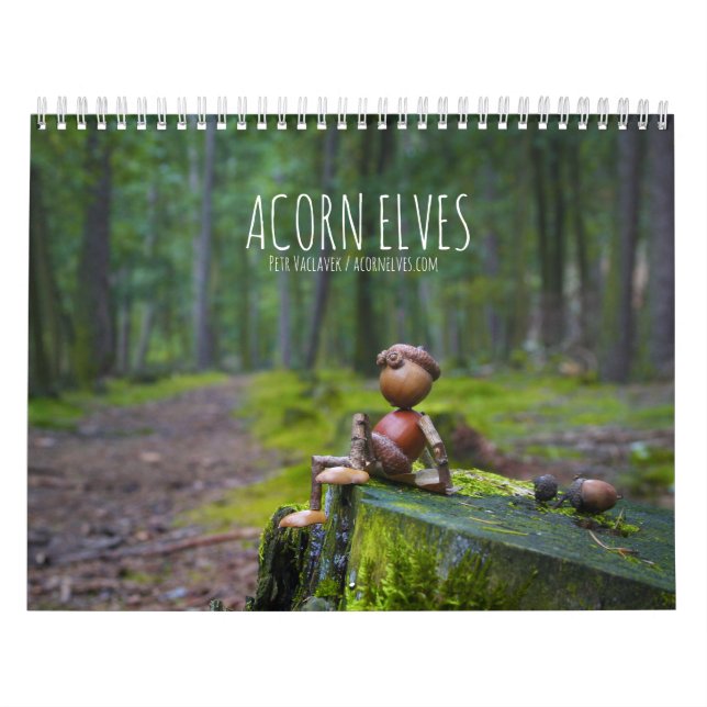Acorn Elves/Dubanci-fotokalender Kalender (Omslag)