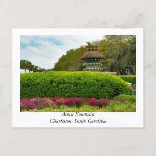 Acorn Fontän vid Charleston South Carolina Vykort