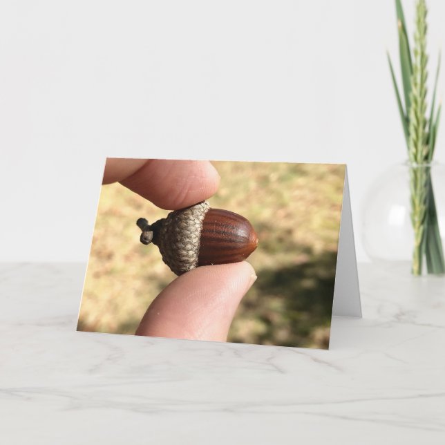 Acorn Kort (Framsida)