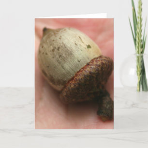 ACORN KORT