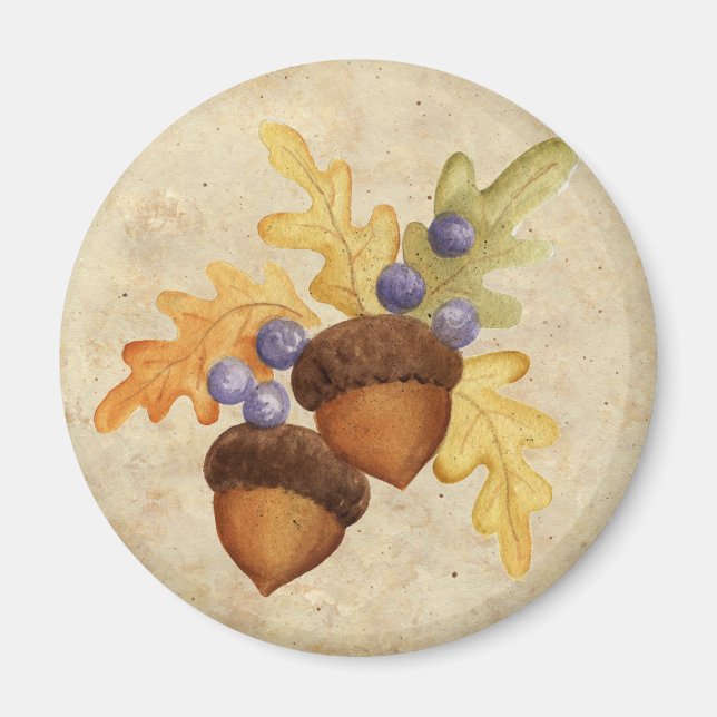 Acorn Magnet (Framsidan)