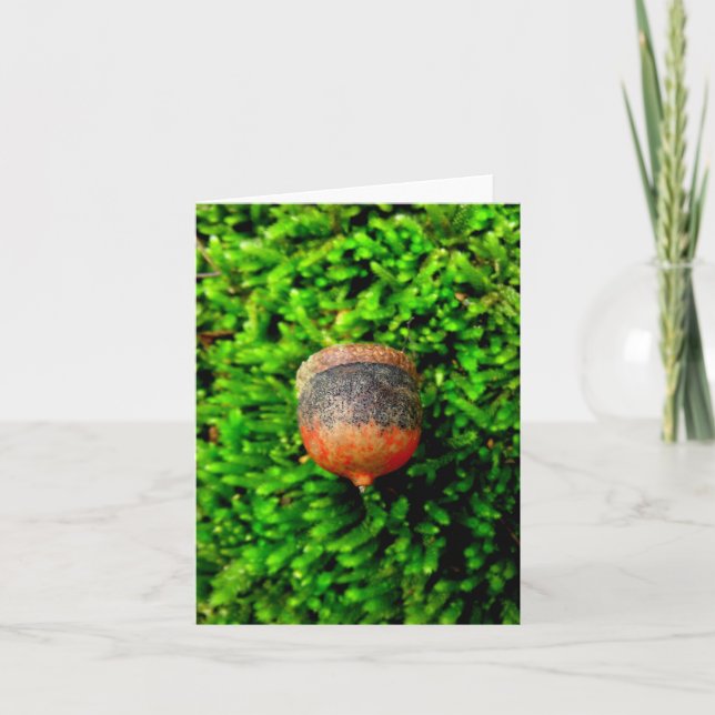 Acorn & Moss Notecard Kort (Framsida)