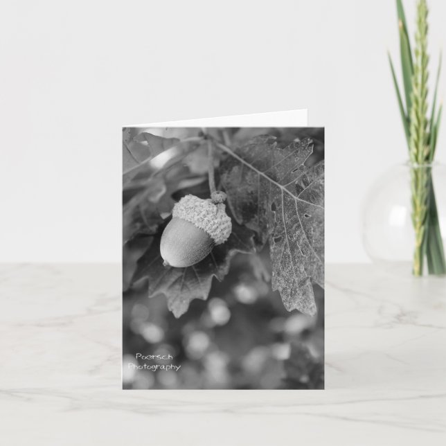 Acorn Note-kort Kort (Framsida)