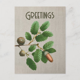 Acorn Oak Lövs Vykort