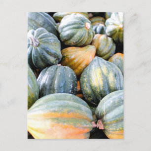 Acorn Squash Vykort