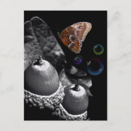 Acorns Butterfly och Bubbles Vykort