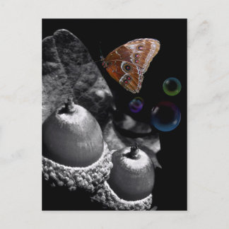 Acorns Butterfly och Bubbles Vykort