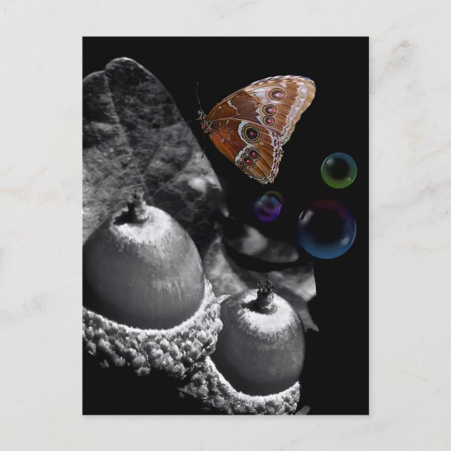 Acorns Butterfly och Bubbles Vykort (Framsida)