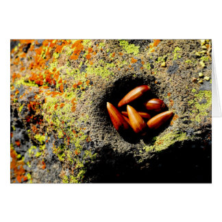 Acorns Hälsningskort