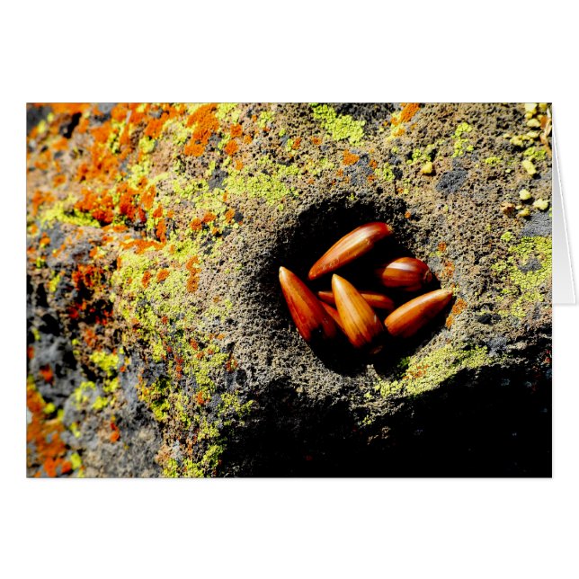 Acorns Hälsningskort (Framsidan Horizontal)