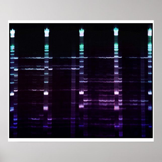 ACR Gel - 2 Poster (Framsidan)