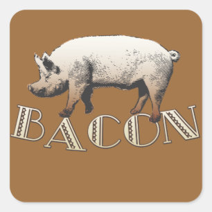 Acrobat BACON Gris Fyrkantigt Klistermärke