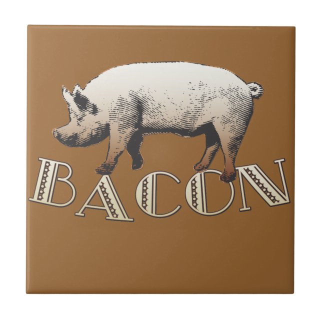 Acrobat BACON Gris Kakelplatta (Framsidan)