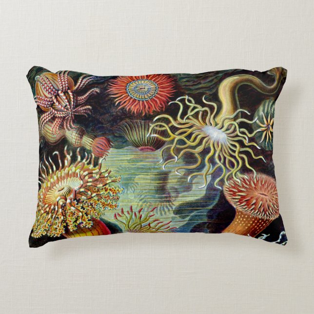 Actiniae av Ernst Haeckel Accent Pillow Prydnadskudde (Framsidan)