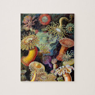 Actiniae av Ernst Haeckel Jigszle Puzzle Pussel