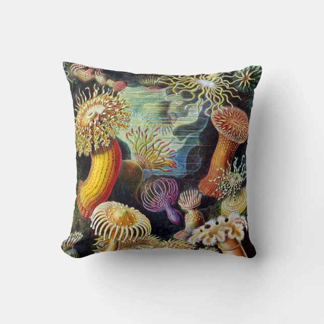 Actiniae av Ernst Haeckel Kudde (Framsida)