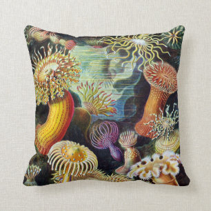 Actiniae av Ernst Haeckel Kudde