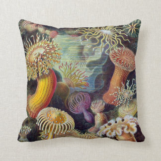 Actiniae av Ernst Haeckel Kudde