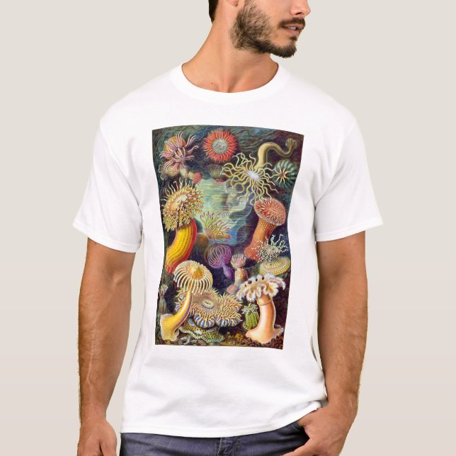 Actiniae-illustration av Germa Ernst Haeckel Tee (Framsida)