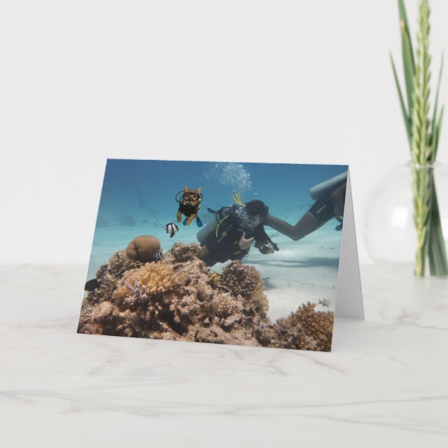 Action Cats! Card Kort (Framsida)