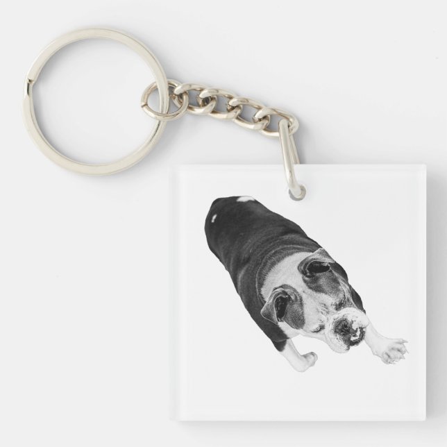 Action Walk Dog Encourages Every Holiday Commute (Framsidan)