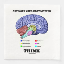 Activate Your Grey Matter Think Anatomical Brain Pappersservett