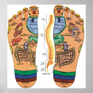Acupressure pekar pressar kartlägger för foten poster