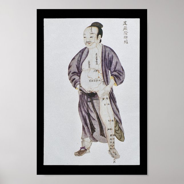Acupuncture Liver Meridian Foot Jueyin Poster (Framsidan)