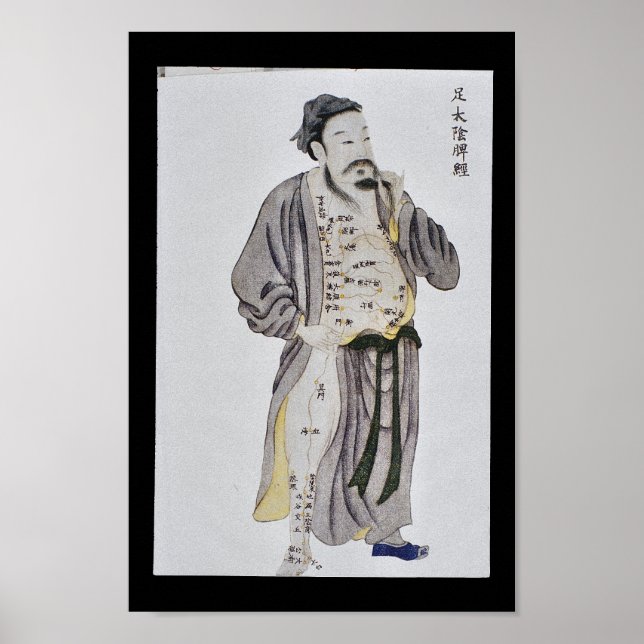 Acupuncture meridian Foot Taiyin Poster (Framsidan)