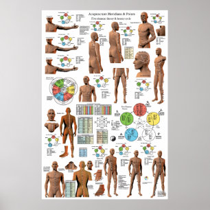 Acupuncture Meridian Points och Pathways Poster