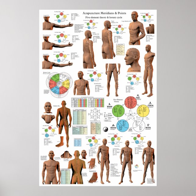 Acupuncture Meridian Points och Pathways Poster (Framsidan)