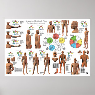 Acupuncture Meridian Points och Pathways Poster