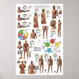 Acupuncture Meridian Points och Pathways Poster